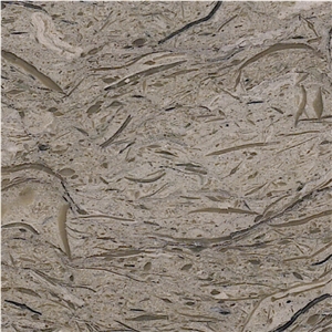 Shampoo Beige Marble Tile