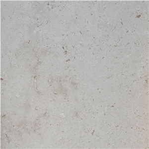 Shell Beige Limestone