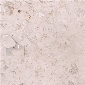 Shell Beige Marble