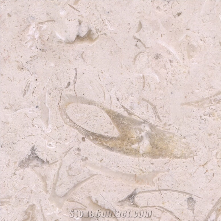 Shell Beige Marble Tile
