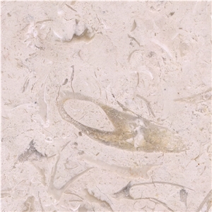 Shell Beige Marble Tile