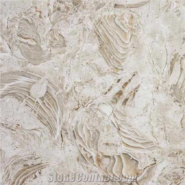 Shells Reef Beige Limestone importance=