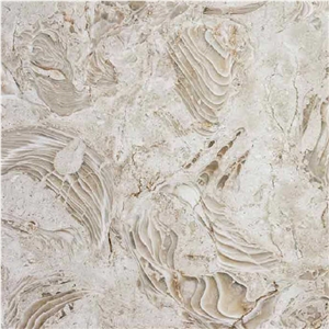 Shells Reef Beige Limestone