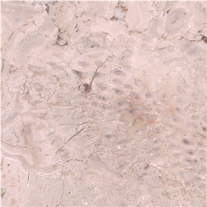 Shirley Beige Marble Tile