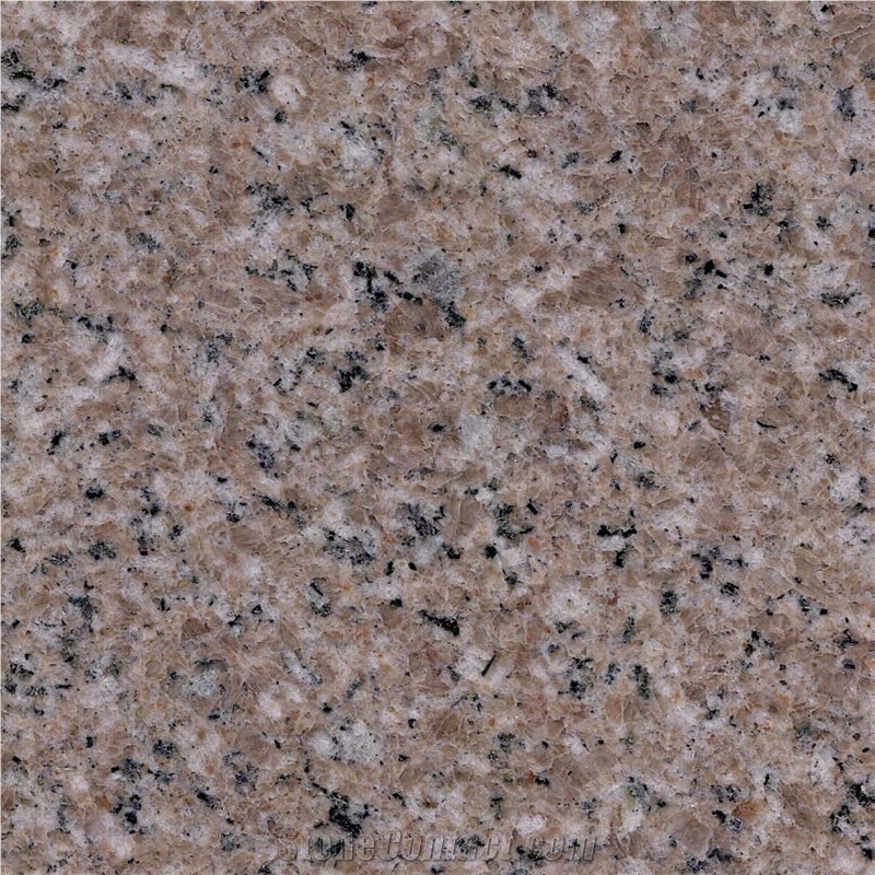 Shrimp Red Granite Tile