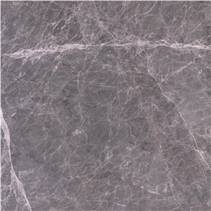 Silver Emperador Marble Tile