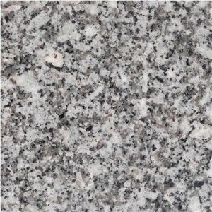 Silver Fish Granite