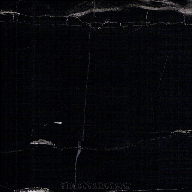 Silver Portoro Marble importance=