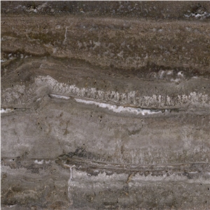Snake Skin Travertine Tile