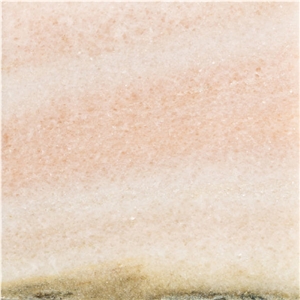 Soelker Rose