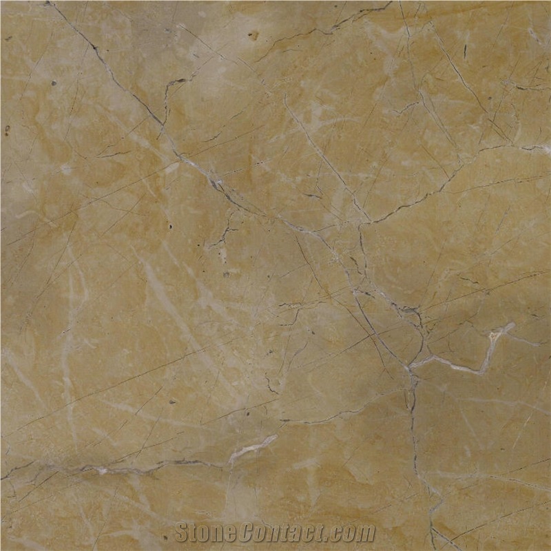 Spanish Gold Marble Tile