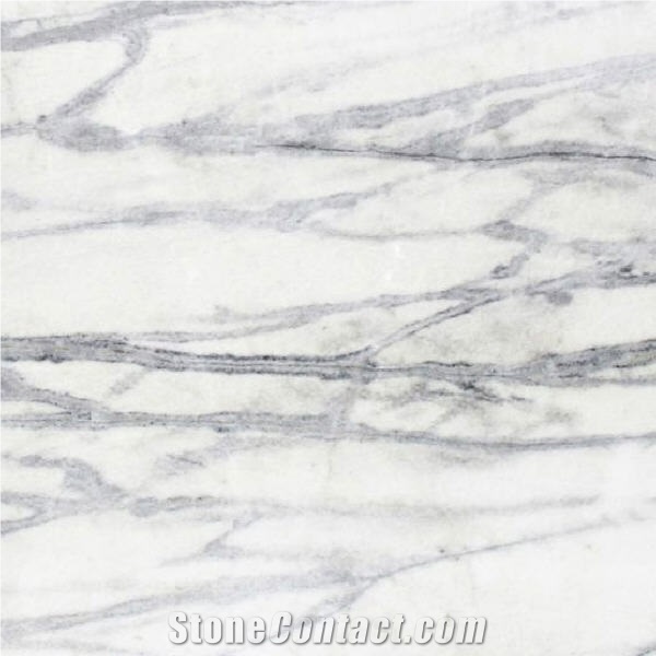 Sparkling Calacatta Marble importance=