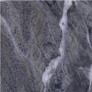 Spider Gray Marble