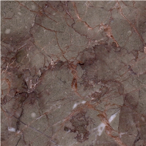 Spider Red Marble Tile