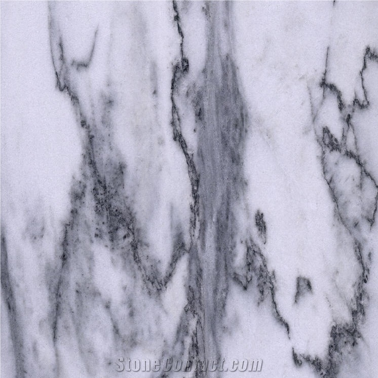 Spider White Marble importance=