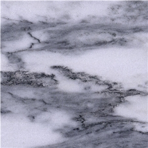 Spider White Marble Tile