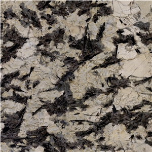 Splendor Granite