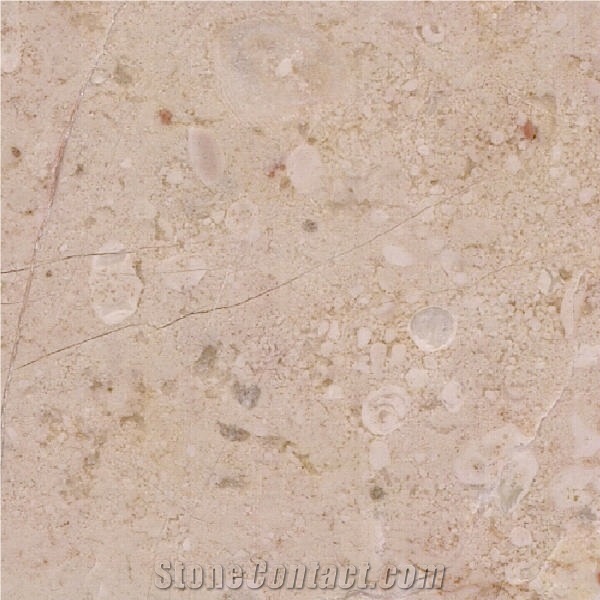 St. Croix de Mareuil Limestone importance=