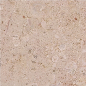 St. Croix de Mareuil Limestone