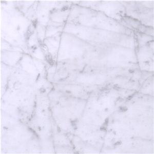 Statuarietto Venato Marble Tile