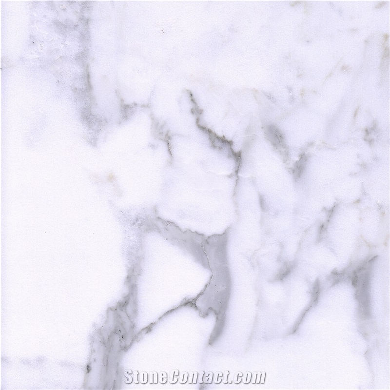 Statuario Venato Marble importance=
