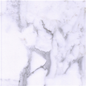 Statuario Venato Marble