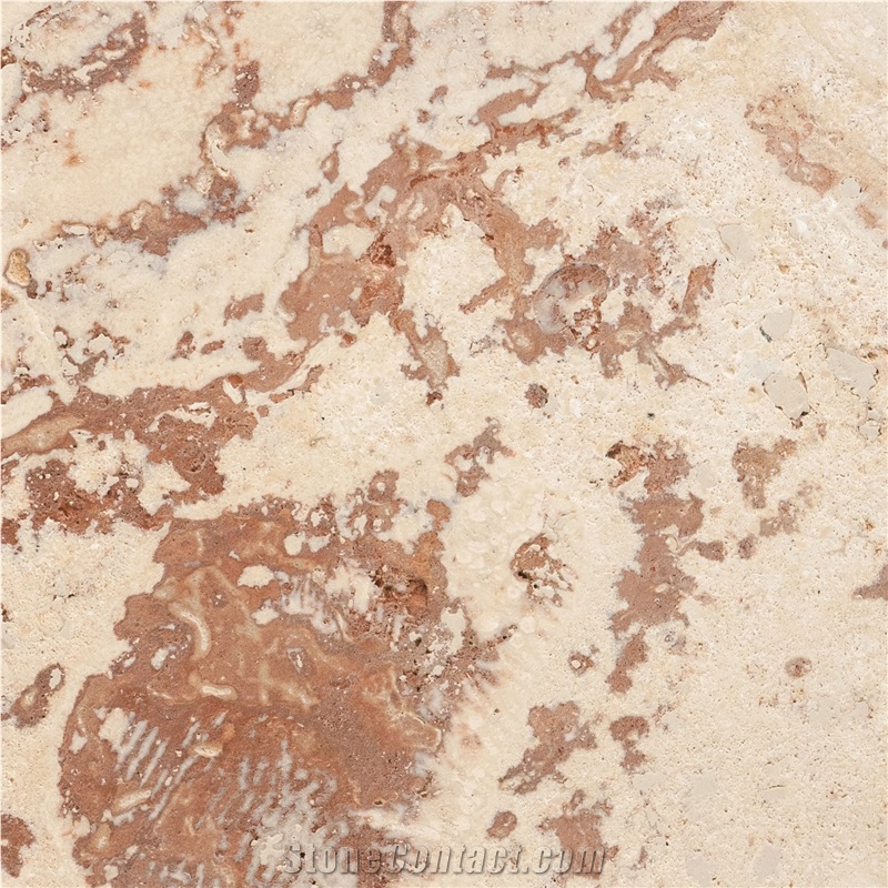 Sunny Coral Stone importance=