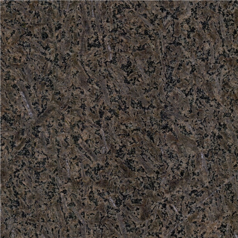 Symphony Brown importance=