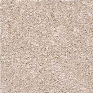 Tamala Limestone Tile