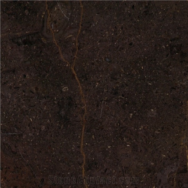 Terra di Siena Marble Tile