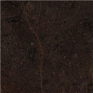 Terra di Siena Marble Tile