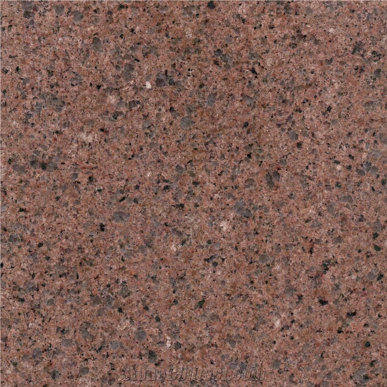 Terracotta Red importance=