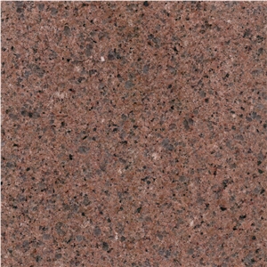 Terracotta Red