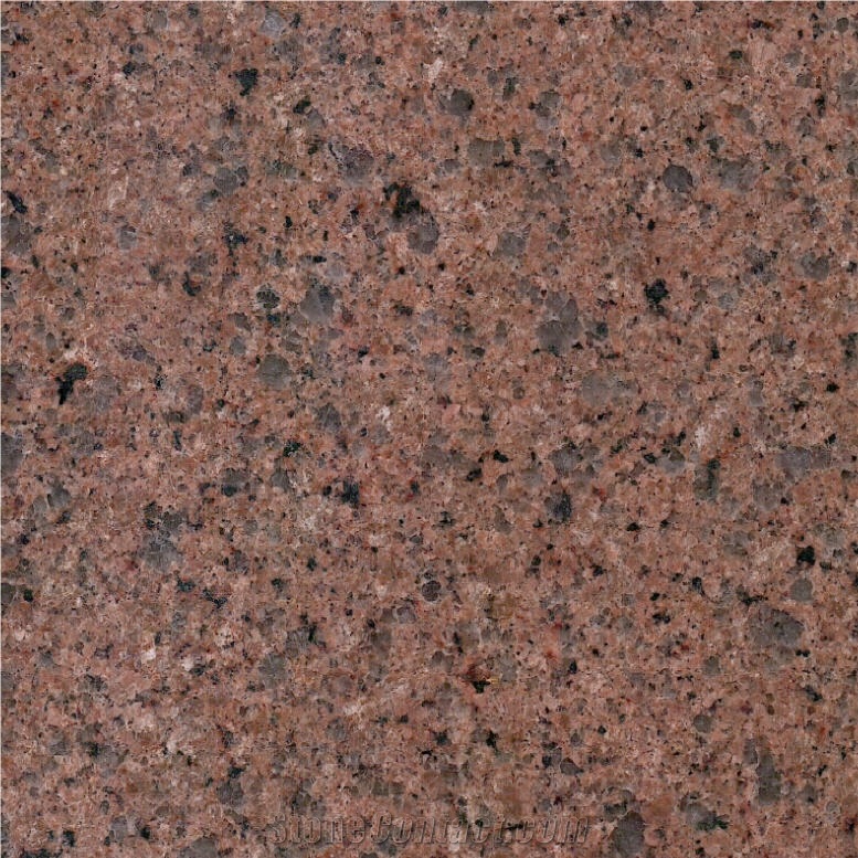 Terracotta Red Tile