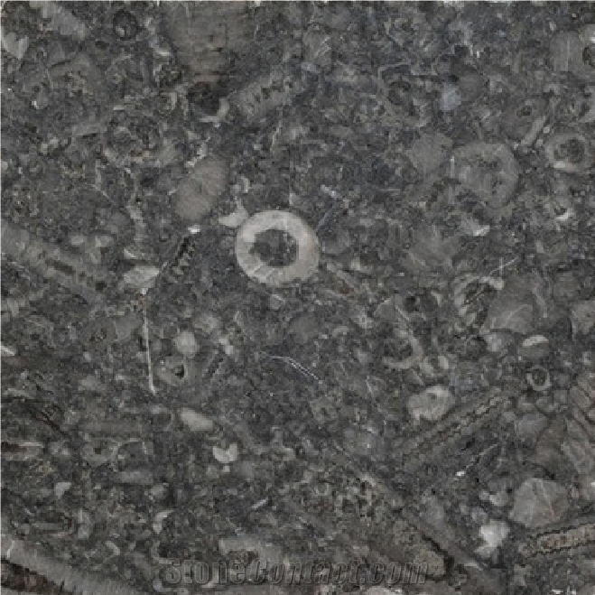 Threecastles Limestone importance=