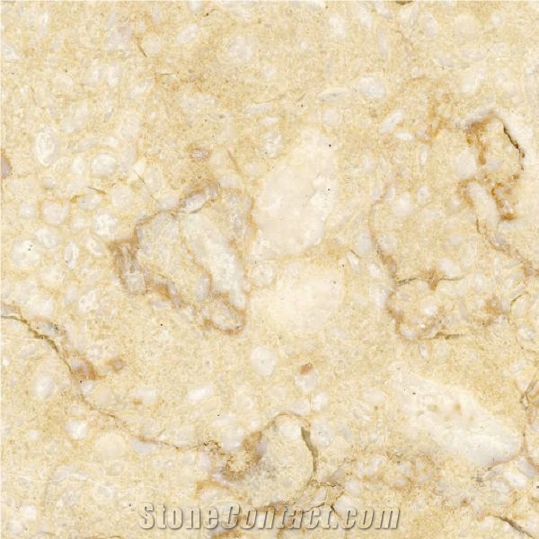 Travin Marble importance=