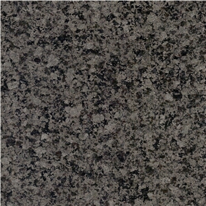 Trojan Horse Granite