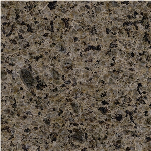 Tropic Brown Granite Tile
