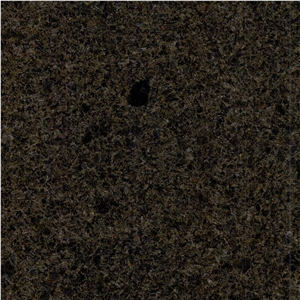 Tropic Brown Honey Tile