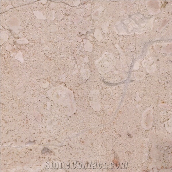 Tropical Beige importance=