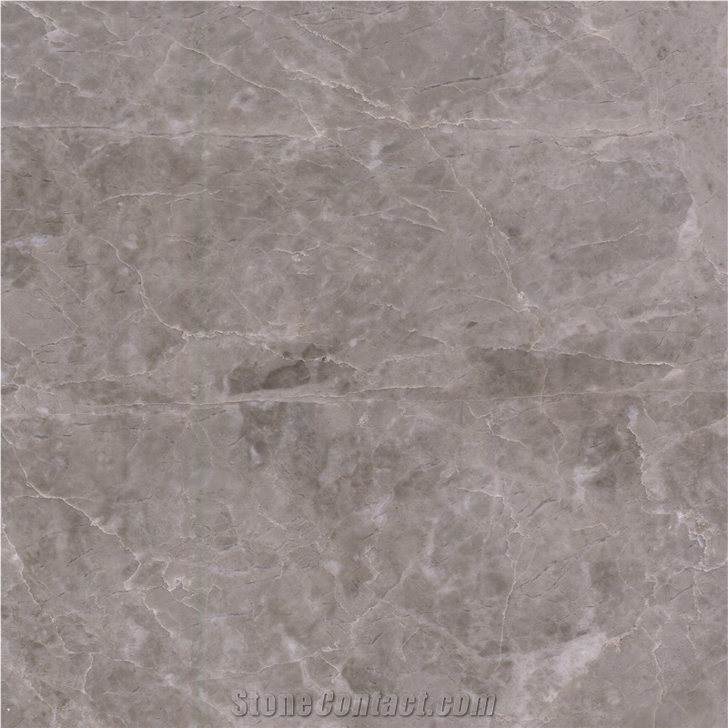 Tundra Grey Marble importance=