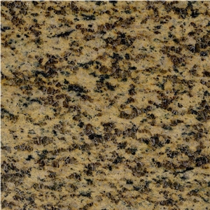 Tuoli Chrysanthemum Yellow Granite