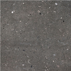 Turmak Grey Calcarenite