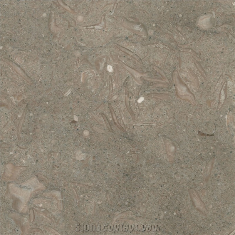 Turquoise Limestone importance=