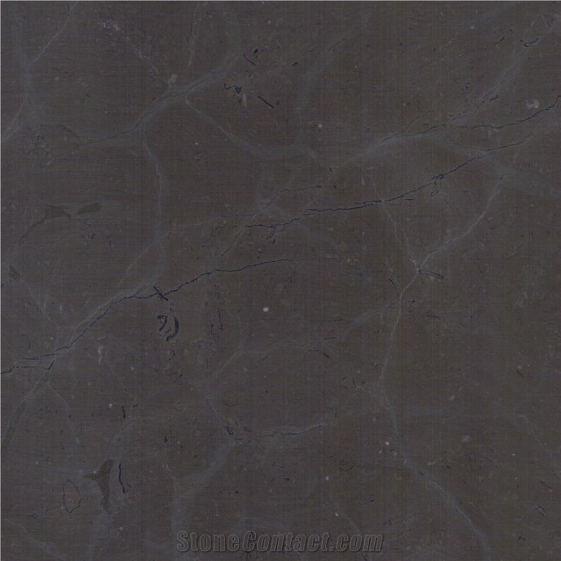 Turtle Brown Limestone importance=