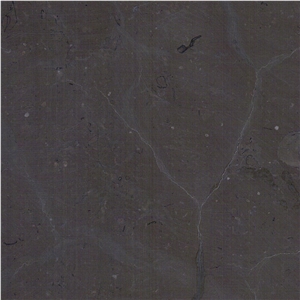 Turtle Brown Limestone Tile