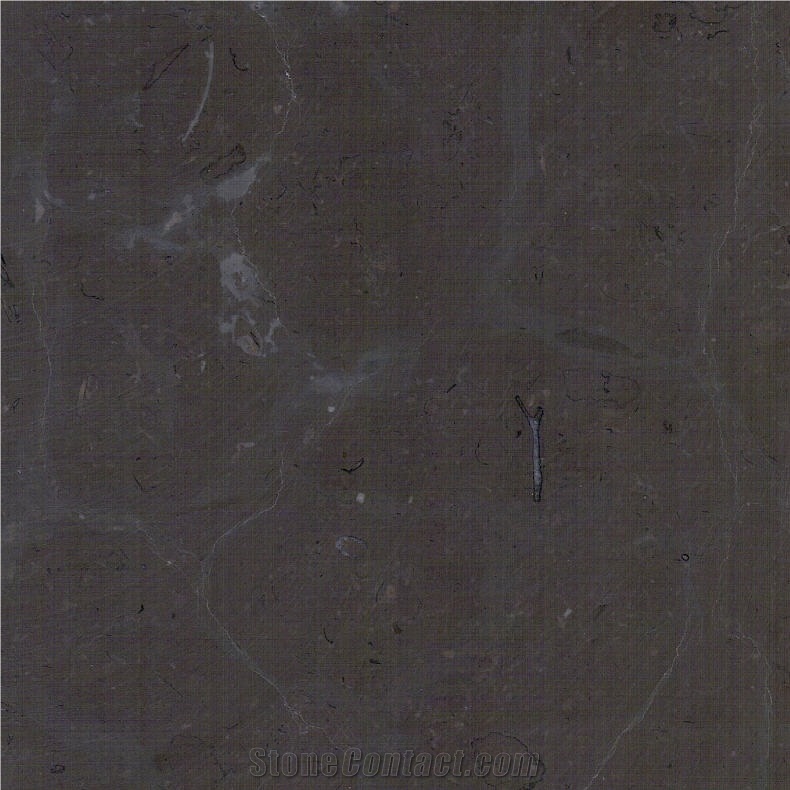 Turtle Brown Limestone Tile