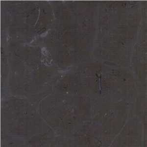 Turtle Brown Limestone Tile