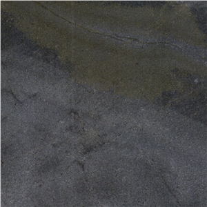Turtle Grey