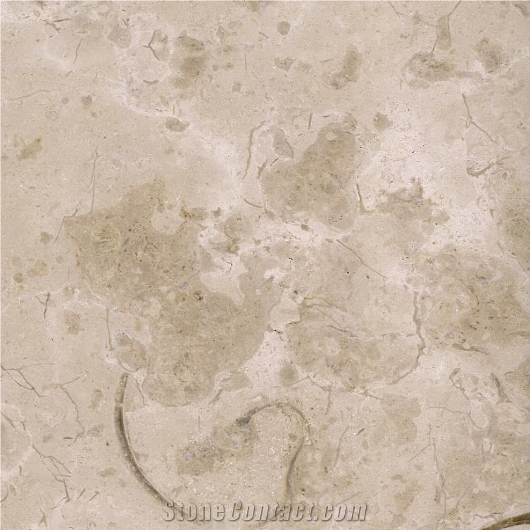 Valtura Statuario Limestone importance=